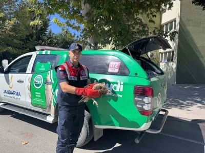 Elazığ’da akbaba yavrusu koruma altına alındı
