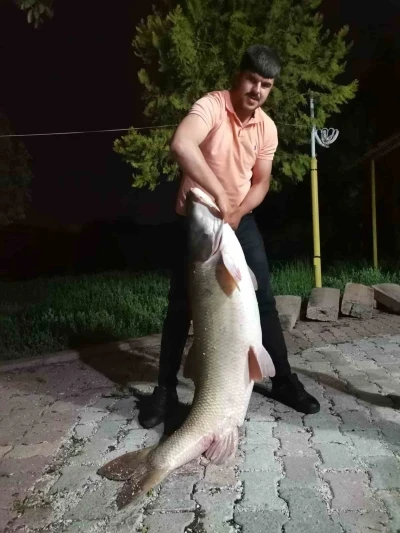 Elazığ’da baba-oğul 75 kiloluk dev turna balığı yakaladı
