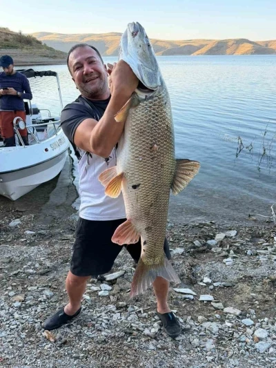 Elazığ’da balıkçı 70  kiloluk turna yakaladı
