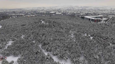 Elazığ&rsquo;da beton yığınlarının arasındaki beyaz vaha mest etti
