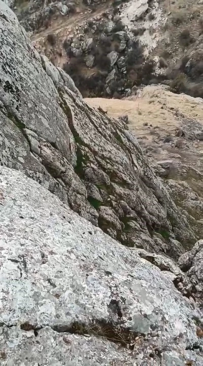 Elazığ’da dağ keçileri sürü halinde görüldü

