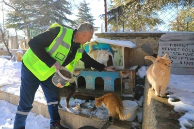 Elazığ&rsquo;da doğaya yem bırakıldı
