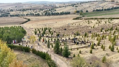 Elazığ’da Doğu Türkistan ve Filistin için fidan diktiler
