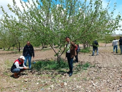 Elazığ&rsquo;da dolu sonrası hasar tespiti yapıldı
