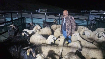 Elazığ&rsquo;da kurban pazarında uykusuz mesai: Geceyi hayvanlarının başında ge&ccedil;iriyorlar
