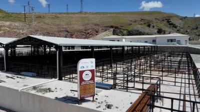 Elazığ&rsquo;da kurban satış ve kesim alanlarında &ccedil;alışmalar başladı
