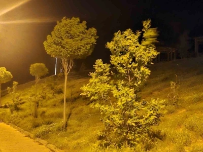 Elazığ&rsquo;da kuvvetli r&uuml;zgar etkili oldu
