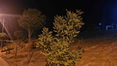 Elazığ’da kuvvetli rüzgar etkisini sürdürüyor
