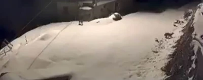 Elazığ&rsquo;da nesli t&uuml;kenmekte olan vaşak ailesi g&ouml;r&uuml;ld&uuml;
