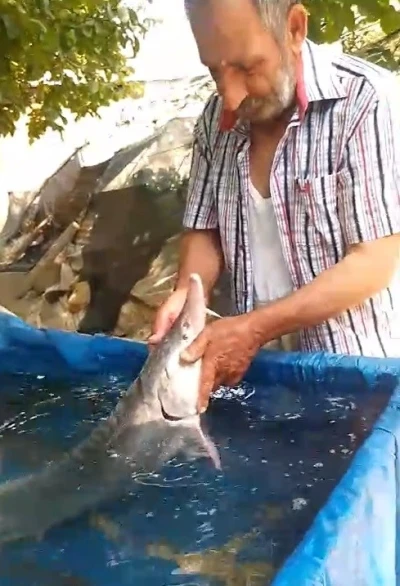 Elazığ’da oltaya takıldı, havyarı 2 milyon lira
