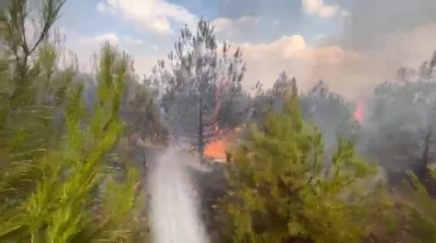 Elazığ’da ormanlık alanda yangın
