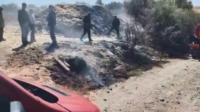 Elazığ’da otluk alanda yangın
