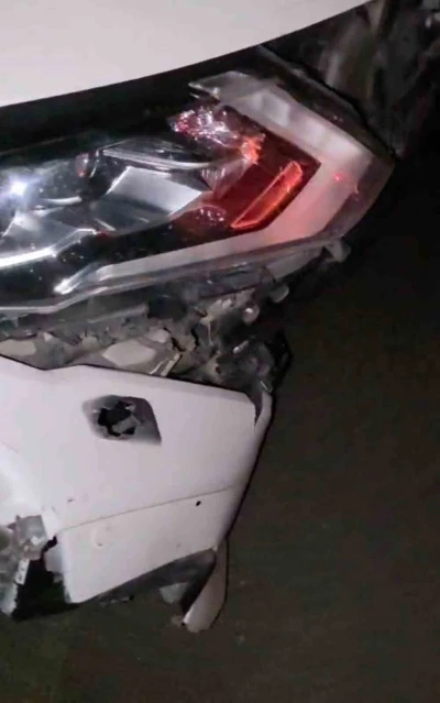 Elazığ&rsquo;da otomobil domuz s&uuml;r&uuml;s&uuml;ne &ccedil;arptı
