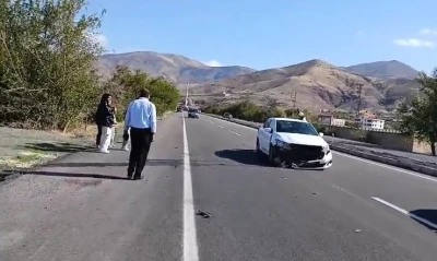 Elazığ’da otomobil köpeğe çarptı: 1 yaralı
