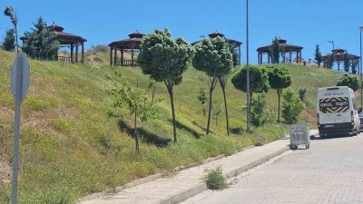 Elazığ&rsquo;da şiddetli r&uuml;zgar etkili oldu

