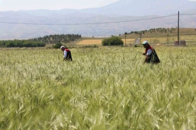 Elazığ&rsquo;da s&uuml;ne s&uuml;rveyi ve CBS &ccedil;alışmaları sahada değerlendirildi
