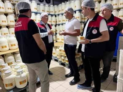 Elazığ&rsquo;da tulum peynirinde &uuml;retim s&uuml;reci yerinde incelendi
