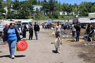 Elazığ hayvan pazarında hareketlilik s&uuml;r&uuml;yor

