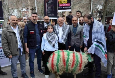 Elleriyle besleyip b&uuml;y&uuml;tt&uuml;ğ&uuml; kuzuyu Gazze&rsquo;ye bağışladı
