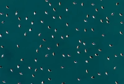 Elmabaş patka &ouml;rdekleri Salda G&ouml;l&uuml;&rsquo;nde havadan g&ouml;r&uuml;nt&uuml;lendi
