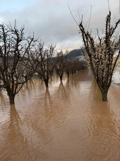 Elmalı&rsquo;da dereler taştı, tarım alanları sular altında kaldı
