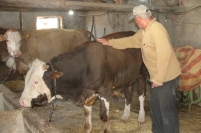 Emekli olan elektrik mühendisi huzuru köyde buldu
