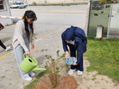 Emet MYO kamp&uuml;s&uuml;ne g&uuml;l fidanı dikimi
