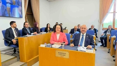 Emniyet, basın ve vergi ile ilgili d&uuml;zenlemeleri i&ccedil;eren kanun teklifi Komisyon&rsquo;da

