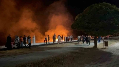 Erciş’te anız yangını
