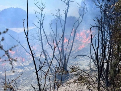 Erdek’te çıkan orman yangını kontrol altına alındı

