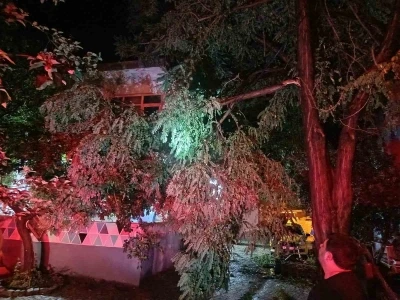 Erdek&rsquo;te fırtına ve dolu yağışı: Ağa&ccedil;lar devrildi, &ccedil;atılar u&ccedil;tu

