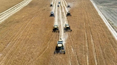 Erzincan Belediyesine ait hububat tarlalarında hasat başladı
