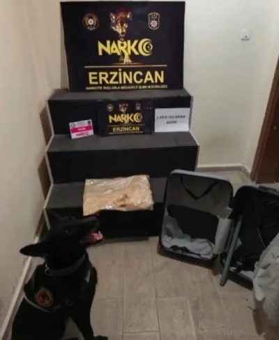 Erzincan&rsquo;da 1 kilo 725 gram eroin ele ge&ccedil;irildi, 1 ş&uuml;pheli tutuklandı
