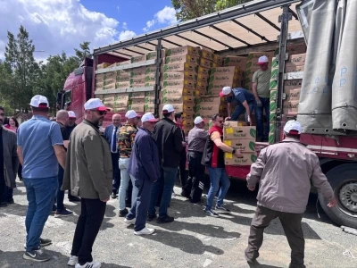 Erzincan&rsquo;da 220 &uuml;reticiye 779 bin 520 sebze fidesi dağıtıldı
