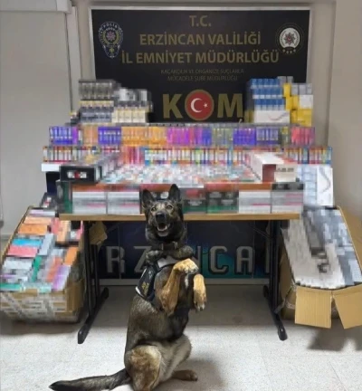Erzincan’da dedektör köpeği hera, 11 bin 600 kaçak ürünü yakalattı
