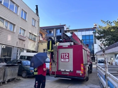 Erzincan&rsquo;da karga ailesi yavrusu i&ccedil;in kedilere ve insanlara meydan okudu
