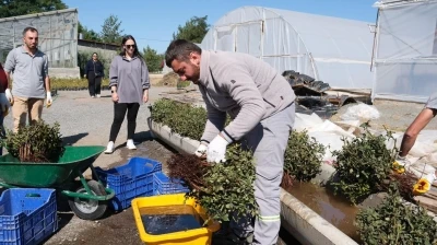 Erzincan’da kesme gül serası hayata geçiriliyor
