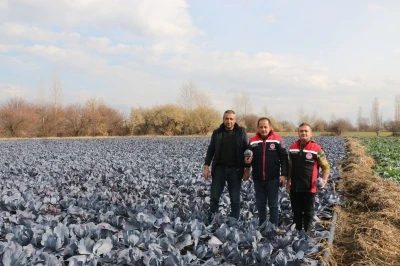 Erzincan&rsquo;da kış ortasında sebze hasadı
