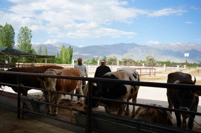 Erzincan&rsquo;da Kurban Bayramı hareketliliği başladı
