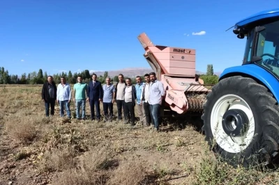 Erzincan’da kuru fasulye hasadı başladı
