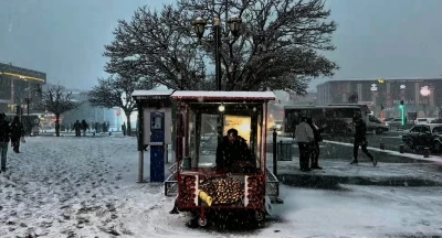 Erzincan&rsquo;da lapa lapa kar yağışı
