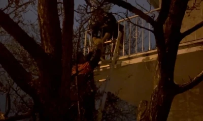 Erzincan&rsquo;da mahsur kalan kedi itfaiye ekiplerince kurtarıldı

