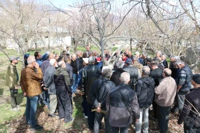 Erzincan&rsquo;da meyve ağa&ccedil;larında budama eğitimi d&uuml;zenlenecek
