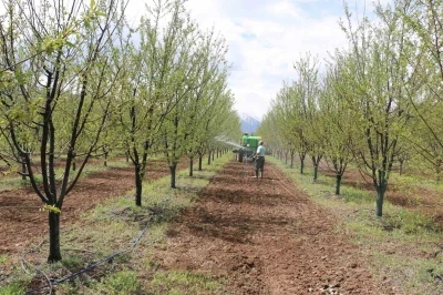 Erzincan&rsquo;da meyve &uuml;reticilerine yağış sonrası ila&ccedil;lama uyarısı
