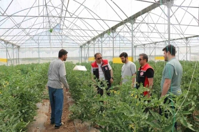 Erzincan&rsquo;da seracılık faaliyetleri yerinde incelendi

