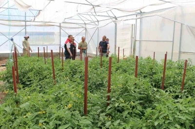 Erzincan&rsquo;da seracılık yatırımları &uuml;retimi artırıyor
