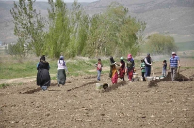 Erzincan&rsquo;da tarımın g&ouml;r&uuml;nmeyen kahramanları: Mevsimlik iş&ccedil;iler
