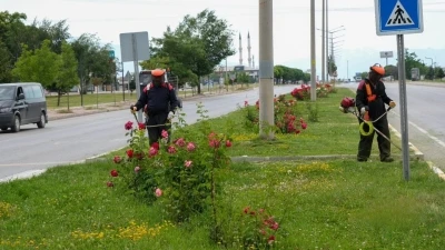 Erzincan&rsquo;da yeşil alanlarda bakım &ccedil;alışmaları s&uuml;r&uuml;yor
