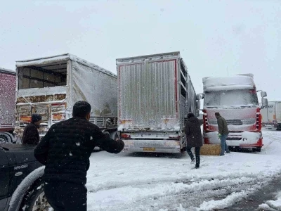 Erzincan&rsquo;da yolda kalan 200 b&uuml;y&uuml;kbaş hayvana yem takviyesi
