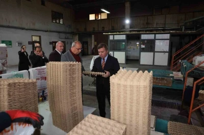 Erzincan&rsquo;dan T&uuml;rkiye&rsquo;ye viyol &uuml;retimi
